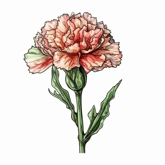 Carnation Flower Vinyl Decal Sticker for Car, Laptop, Tumbler and more # 006431