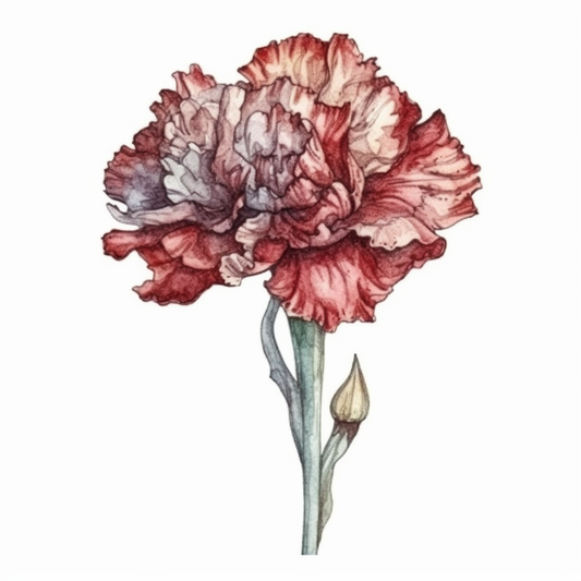Carnation Flower Vinyl Decal Sticker for Car, Laptop, Tumbler and more # 006419
