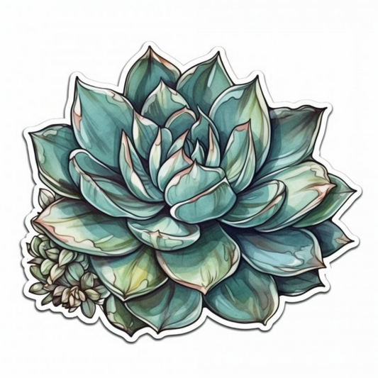 Echeveria Succulent Vinyl Decal Sticker for Car, Laptop, Tumbler and more # 006743