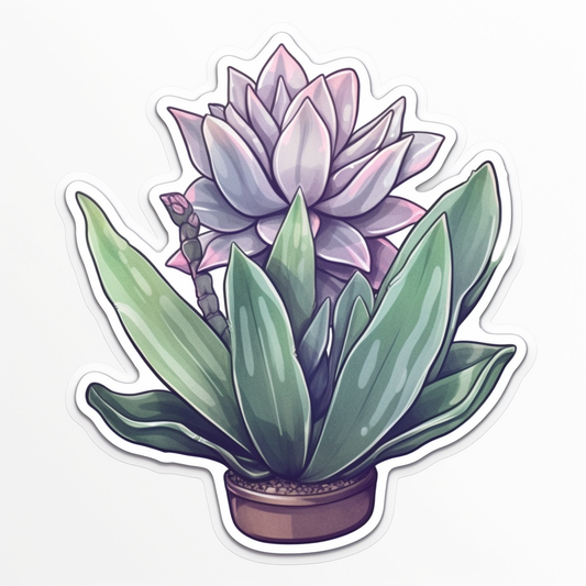Gasteria Succulent Vinyl Decal Sticker for Car, Laptop, Tumbler and more # 006651