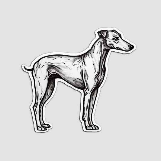 Greyhound Dog Vinyl Decal Sticker for Car, Laptop, Tumbler and more # 007784