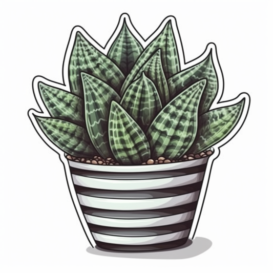 Haworthia Succulent Vinyl Decal Sticker for Car, Laptop, Tumbler and more # 006762