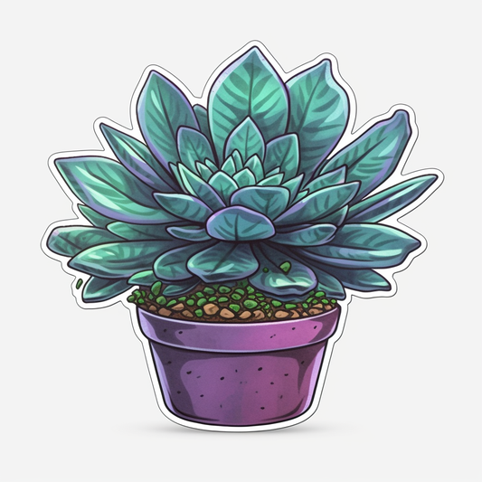 Haworthia Succulent Vinyl Decal Sticker for Car, Laptop, Tumbler and more # 006772