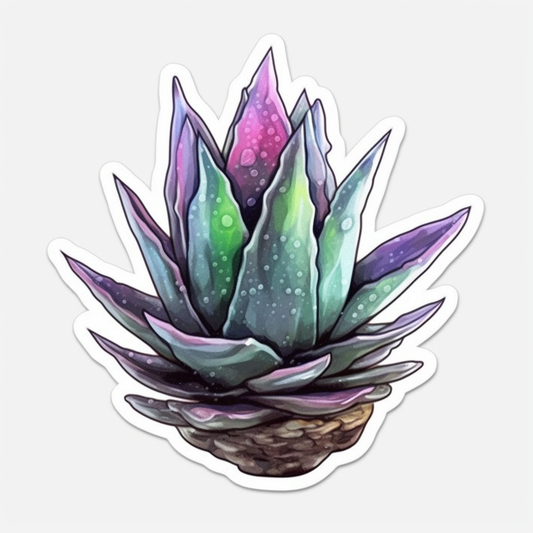 Haworthia Succulent Vinyl Decal Sticker for Car, Laptop, Tumbler and more # 006763