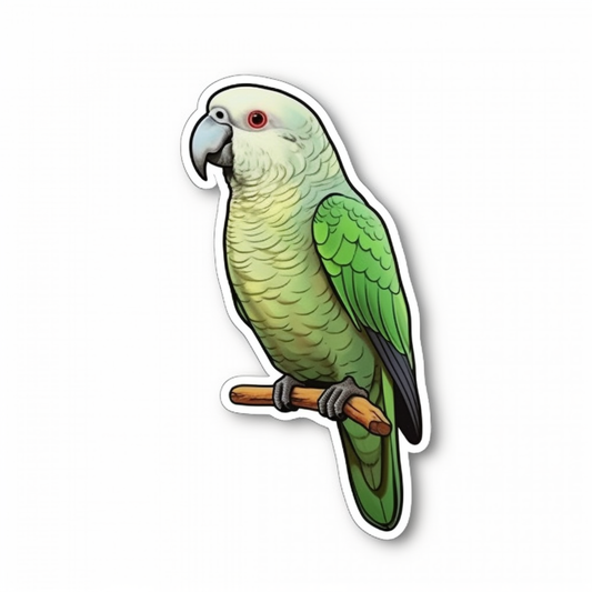 Quaker Parrot Vinyl Decal Sticker for Car, Laptop, Tumbler and more # 003768