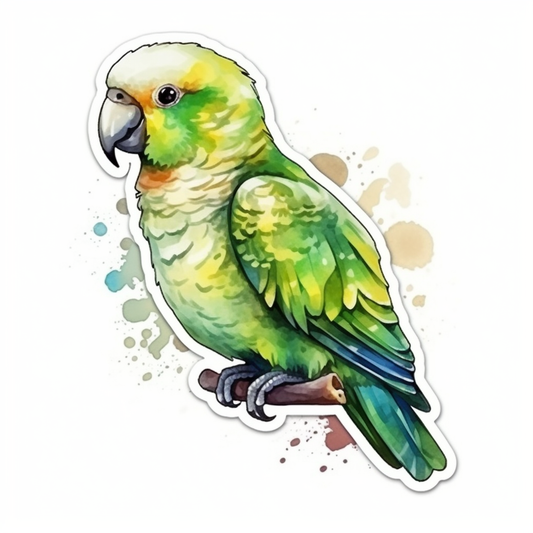 Quaker Parrot Vinyl Decal Sticker for Car, Laptop, Tumbler and more # 003778