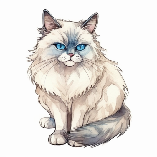 Ragdoll Cat Vinyl Decal Sticker for Car, Laptop, Tumbler and more # 003901