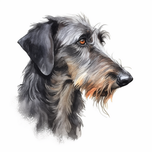 Scottish Deerhound Dog Vinyl Decal Sticker for Car, Laptop, Tumbler and more # 007947