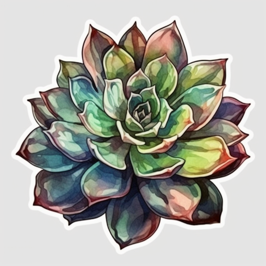 Sempervivum Succulent Vinyl Decal Sticker for Car, Laptop, Tumbler and more # 006611