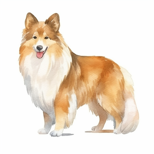 Shetland Sheepdog Dog Vinyl Decal Sticker for Car, Laptop, Tumbler and more # 007335